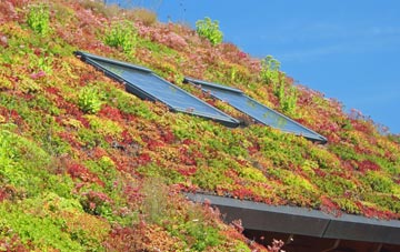 Dun Boreraig living roof systems