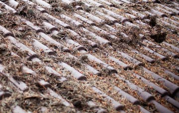 Dun Boreraig roof cleaning companies