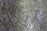 Dun Boreraig fibreglass roof work